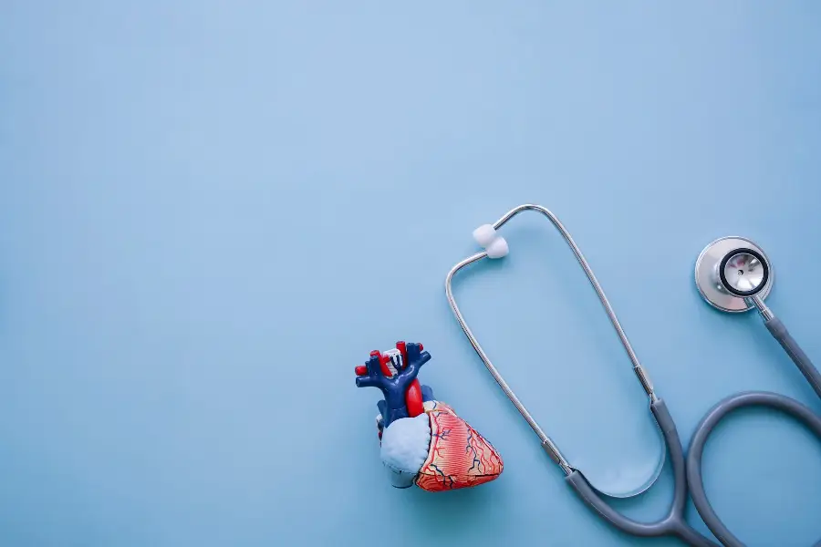 Cool composition with stethoscope and realistic heart